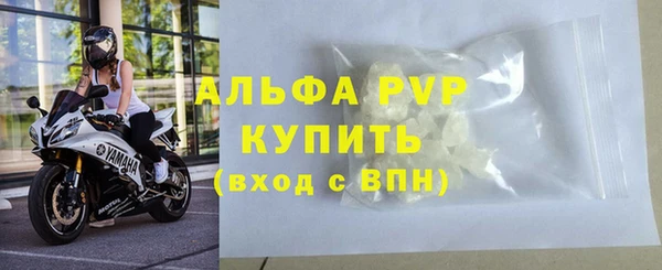 гидра Белокуриха