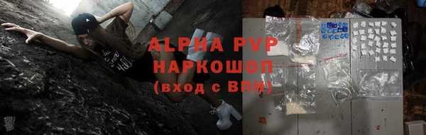 гидра Белокуриха